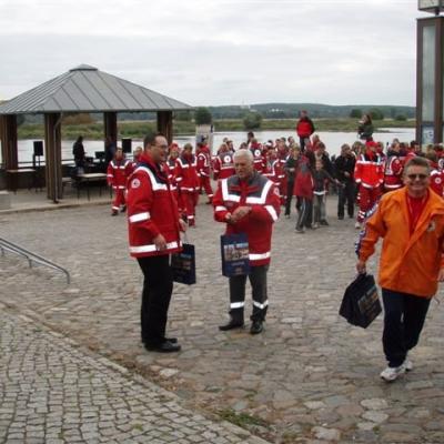 12. Drobne Gad Ety Z Gda Ska Dla Naszych Wodnych Koleg W